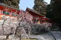 香椎宮(福岡県)