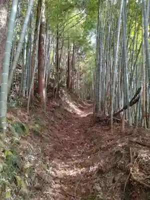 八重垣神社(小斎)(宮城県)