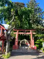 遠野郷八幡宮(岩手県)