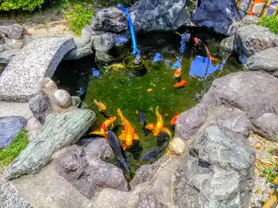 尾張猿田彦神社の動物