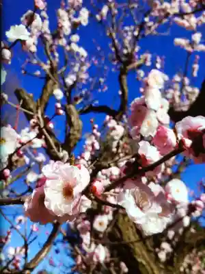 瑞円寺(東京都)