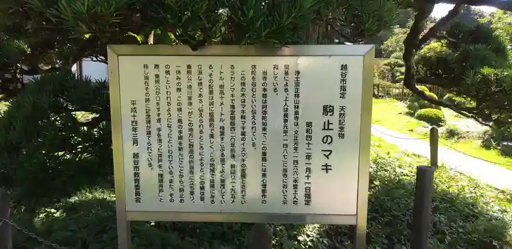 林泉寺(埼玉県)