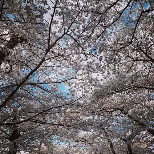 豊景神社の自然