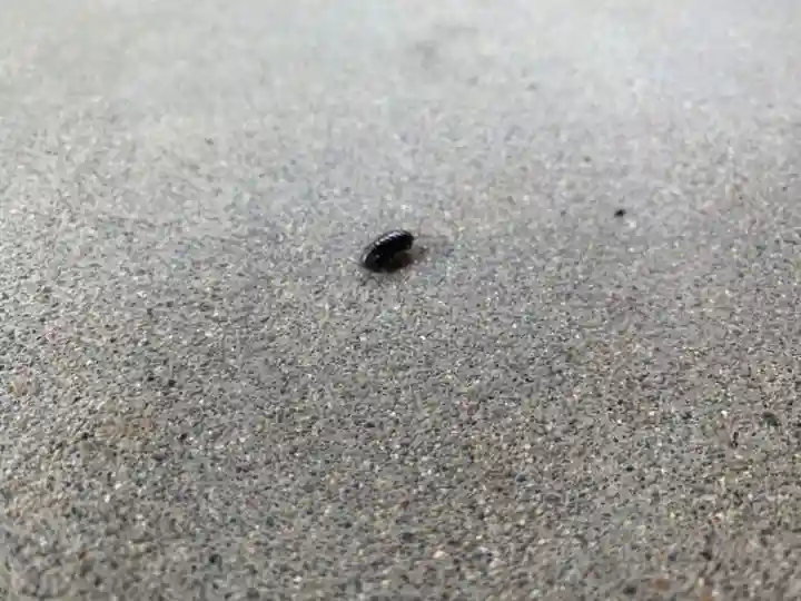 一乗寺(岐阜県)