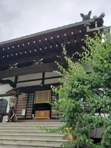 感通寺の本殿・本堂