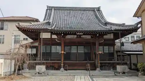 光圓寺（光円寺）(滋賀県)