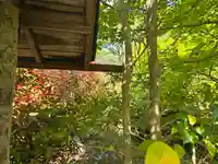 西光寺(京都府)