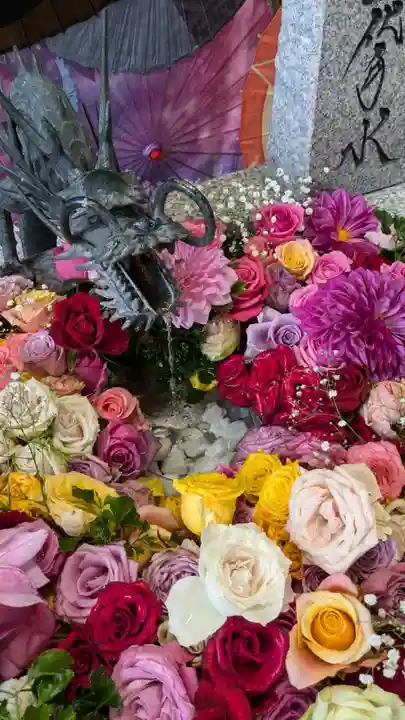 札幌諏訪神社の手水舎