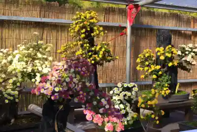 橿原神宮(奈良県)