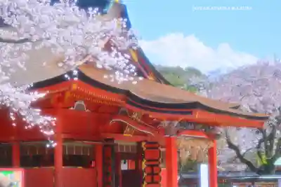 富士山本宮浅間大社(静岡県)