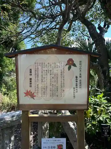 高尾山穂見神社(静岡県)