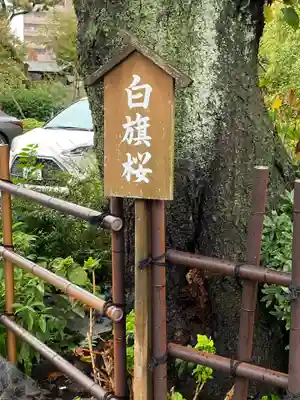 白山神社(東京都)