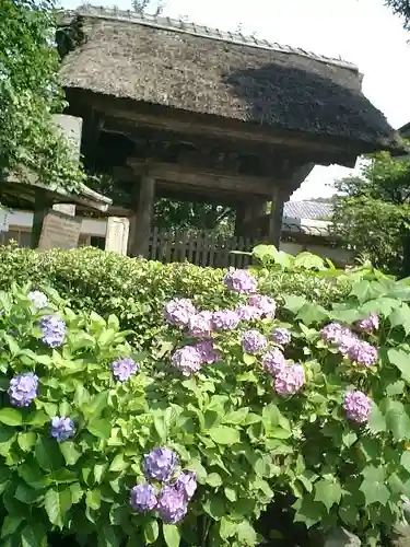 極楽寺（霊鷲山感應院極楽律寺）の山門・神門