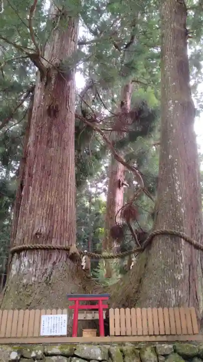 室生龍穴神社(奈良県)