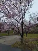 厚別神社の自然