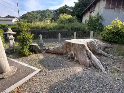 羽賀姫神社(福井県)
