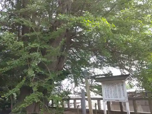鹿嶋神社(茨城県)