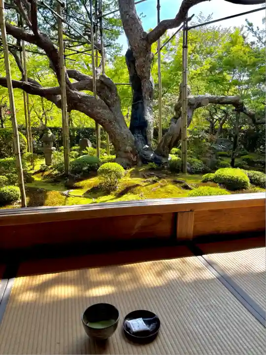 宝泉院(京都府)