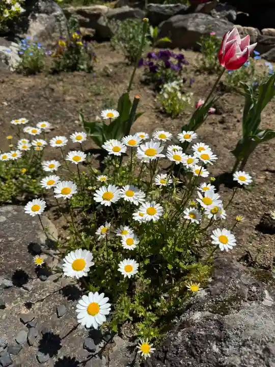 大鏑神社(福島県)