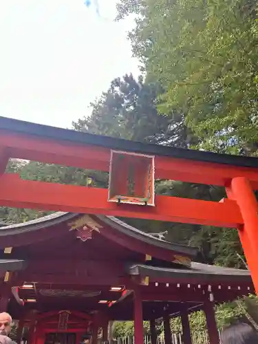 九頭龍神社新宮(神奈川県)