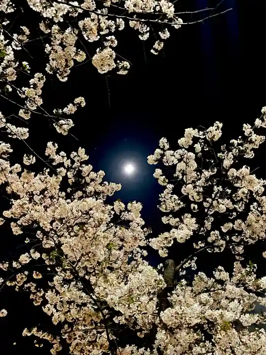 上目黒氷川神社(東京都)