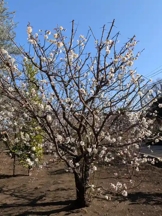 福蔵院(東京都)