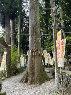 中之嶽神社(群馬県)