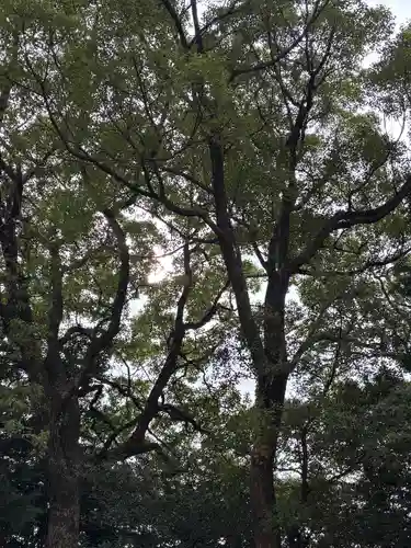 成石神社(愛知県)