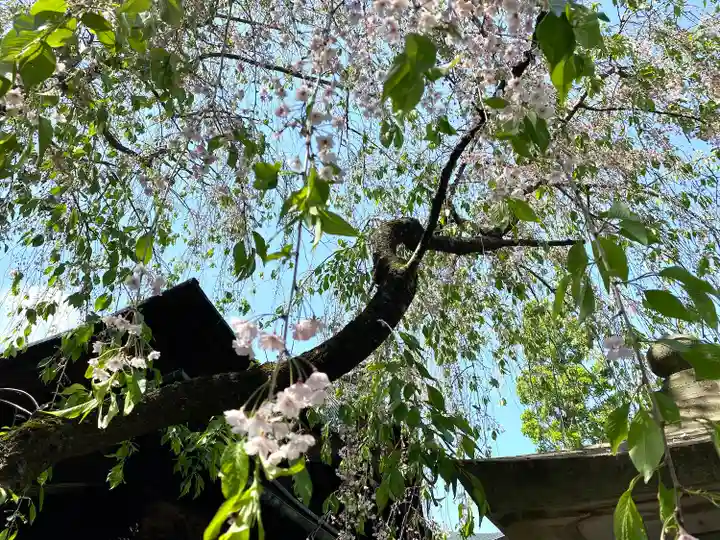 善光寺大本願(長野県)