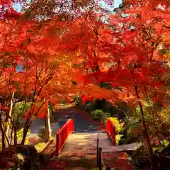 普門寺(切り絵御朱印発祥の寺)(愛知県)