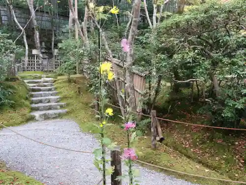 祇王寺の庭園