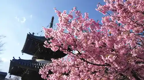 清凉寺の庭園