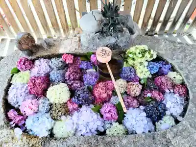 別小江神社の手水舎