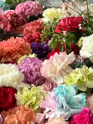 札幌諏訪神社の手水舎