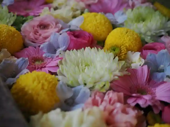 富岡八幡宮(東京都)