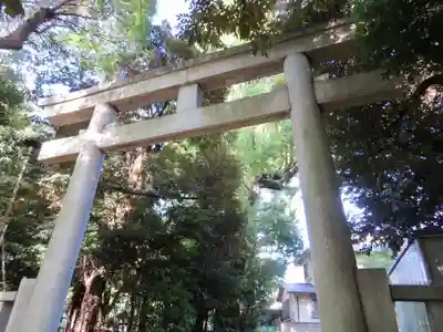 渋谷氷川神社の鳥居