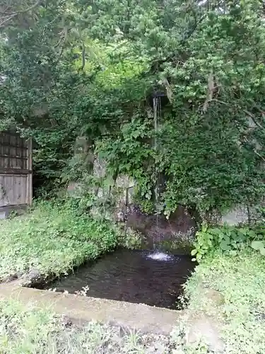 土津神社｜こどもと出世の神さまの庭園