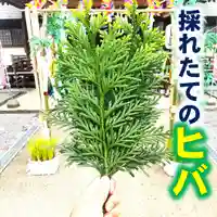 七重浜海津見神社(北海道)