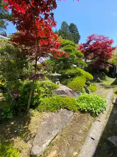 朝日寺の庭園