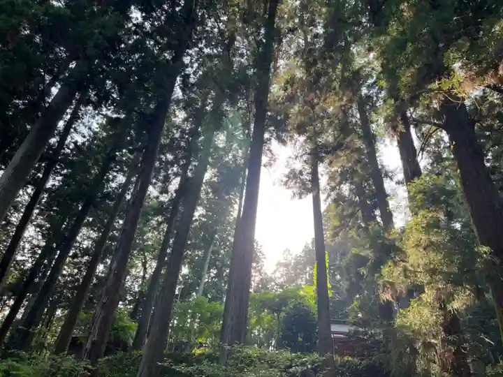 大宮温泉神社(栃木県)