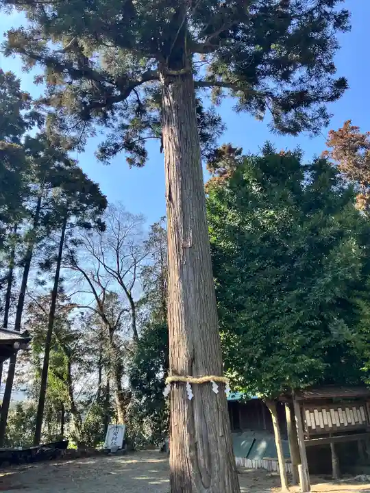 川勾神社(神奈川県)