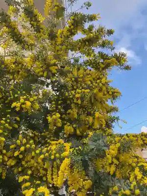 安養寺(弥勒院)(愛知県)