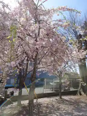坂戸神社(埼玉県)