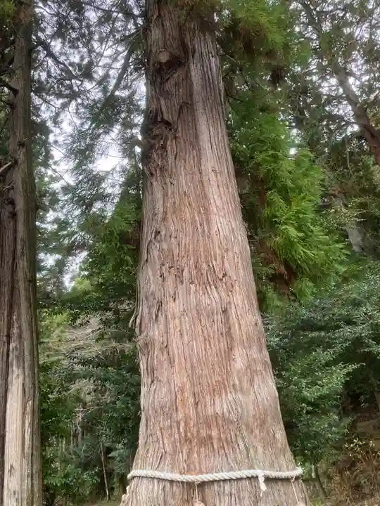 大舩神社(八百津町)(岐阜県)