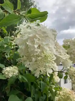 弘長寺(長野県)