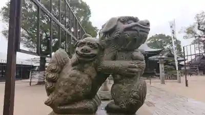 若松恵比須神社 の狛犬