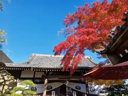 法輪寺のその他建物