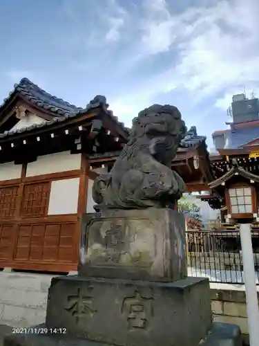 大鳥神社の狛犬