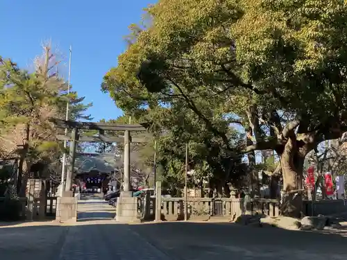 平塚三嶋神社の鳥居