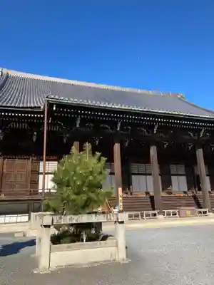 知恩院の本殿・本堂